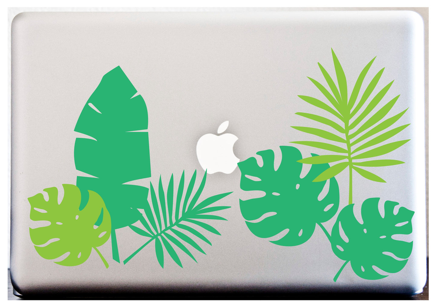 Palm Leaves Tropical Leaves Banana Leaf Decal LAPTOP or Car Decal Island Stickers